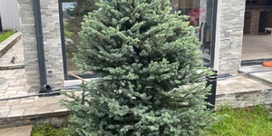 3D панели Сланец Grey Slate Modern 7