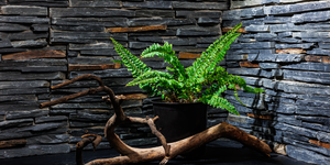 Сланец Cape Skagen Country2