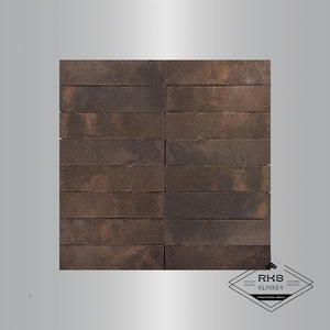 Кирпич клинкерный TERCA, Bergen Nordic Klinker, 250х85х65 мм