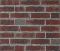 Клинкерная плитка Feldhaus Klinker, R664NF14 Sintra Cerasi Aubergine