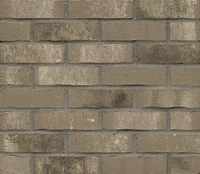 Клинкерная плитка Feldhaus Klinker, R764NF14 Vascu argo rotado